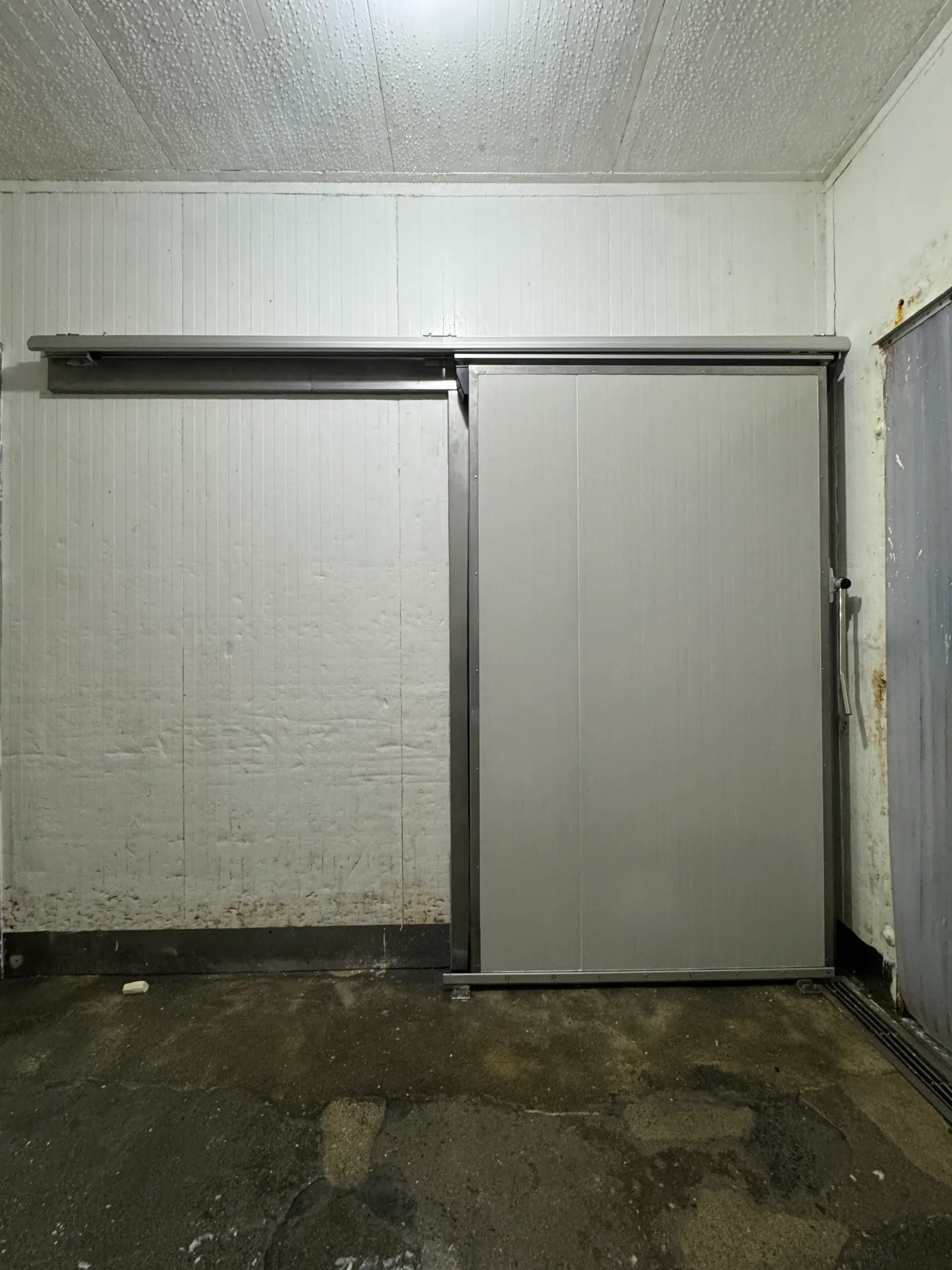Puerta corrediza instalada en un cuarto frío industrial
